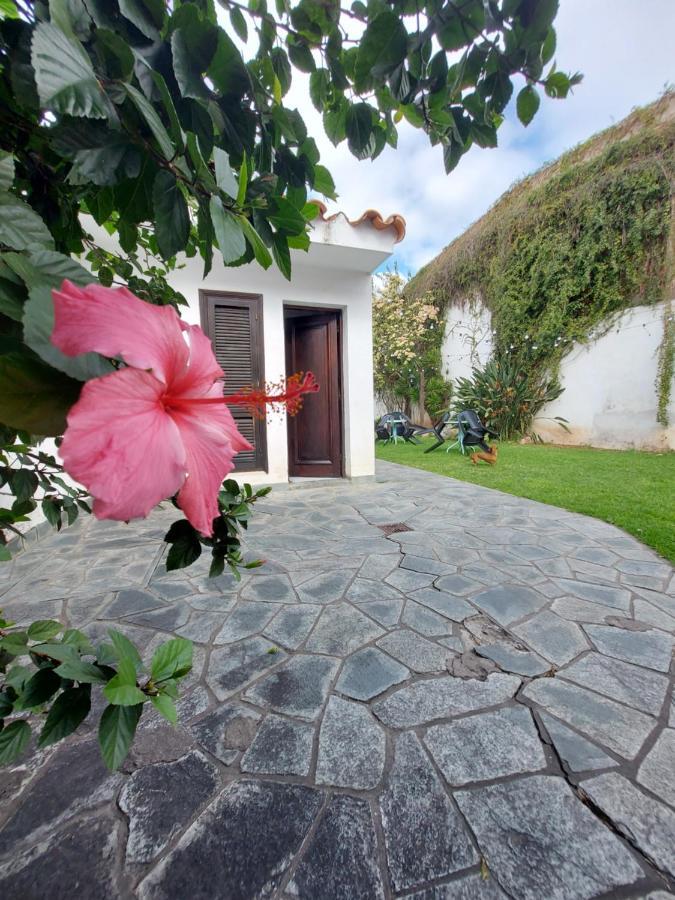 Coya Hostel Salta Bagian luar foto